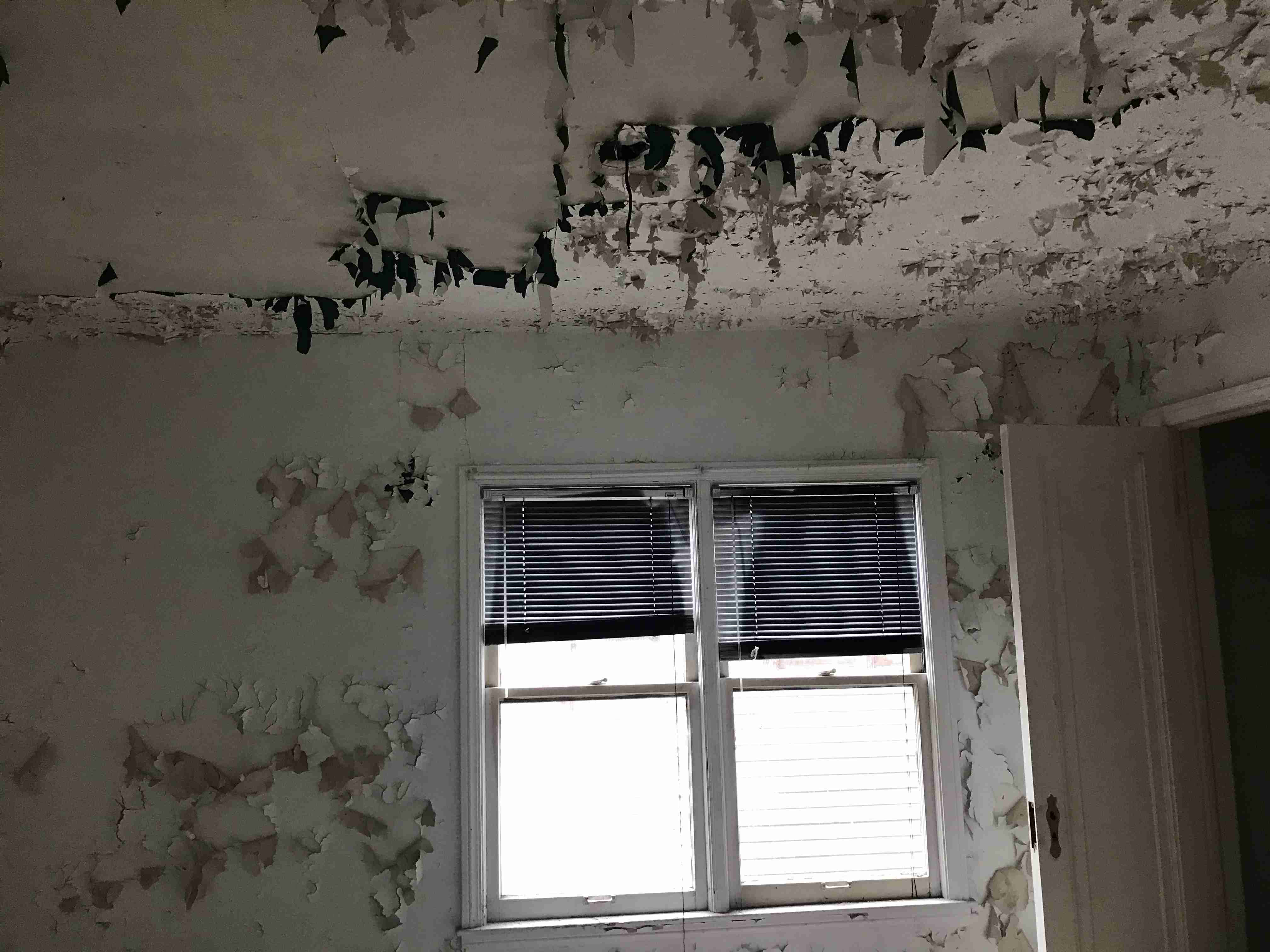 Photo Sep 10, 3 39 42 PM.jpg